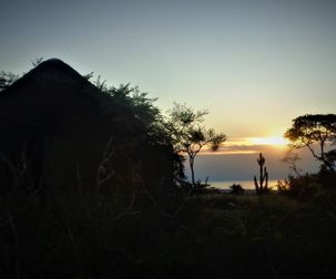 sunset lake albert kikonko loge cactus tree